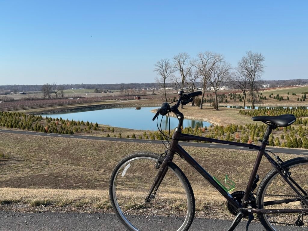 A bicycle sits overlooking the Christmas tree farm near Eckert's Orchard.