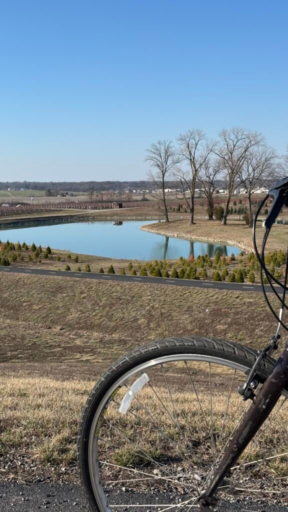 A bicycle sits overlooking the Christmas tree farm near Eckert's Orchard.